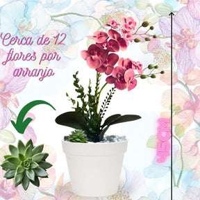 Arranjo de Orquídea no Vaso Branco